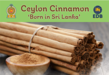 “Ceylon Cinnamon- Born In Sri Lanka” – Webinar